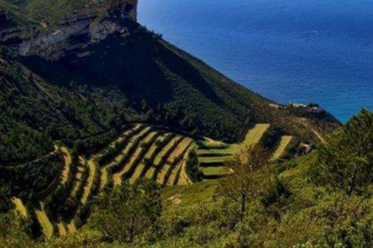 L'Odyssee Bleue Vue Mer Cassis Zewnętrze zdjęcie